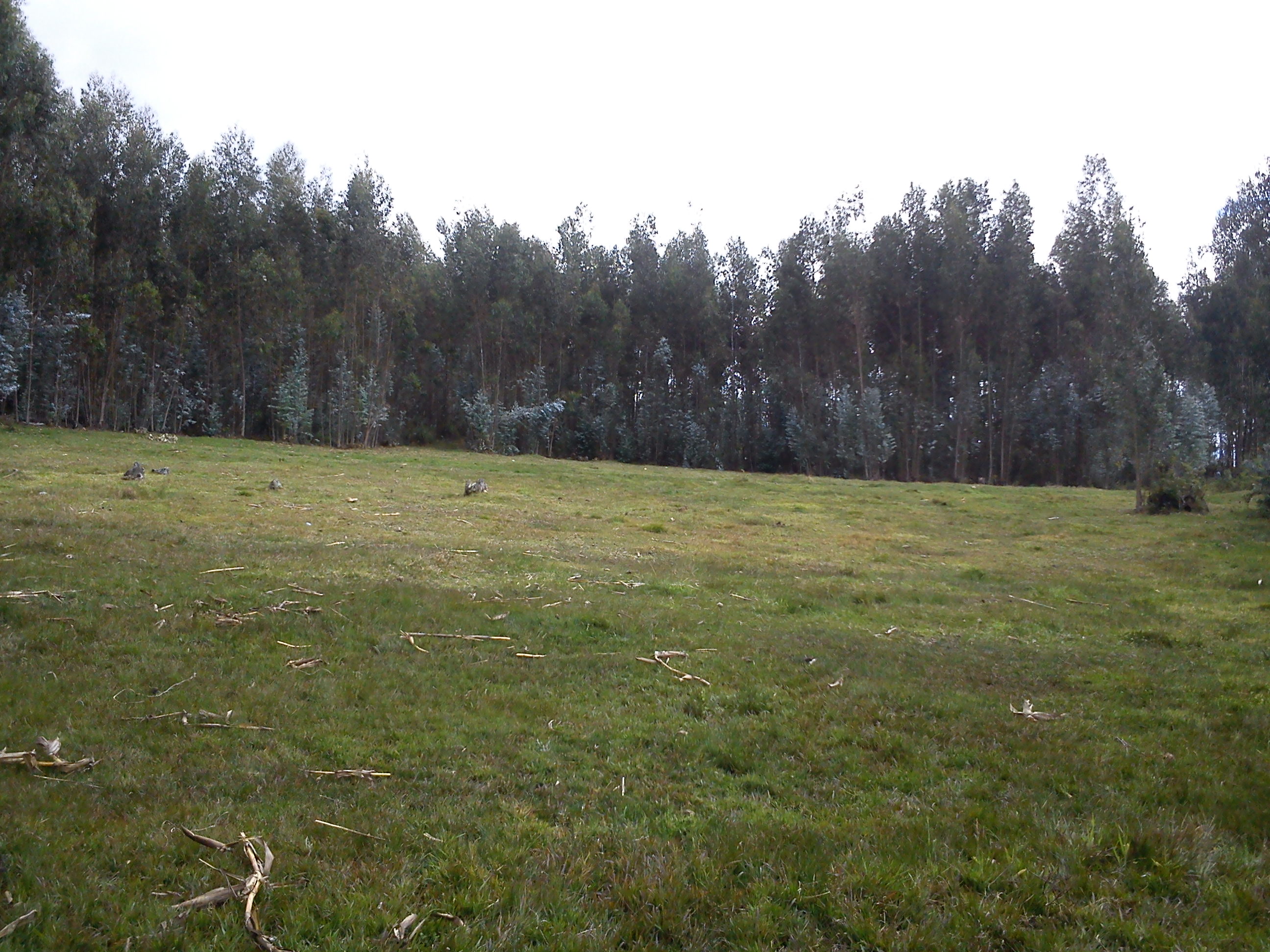Terreno en Venta a Crédito sector San Miguel de Putuzhi, a 2,46 km de la AV. Ordoñez Lazo Cuenca Ecuador