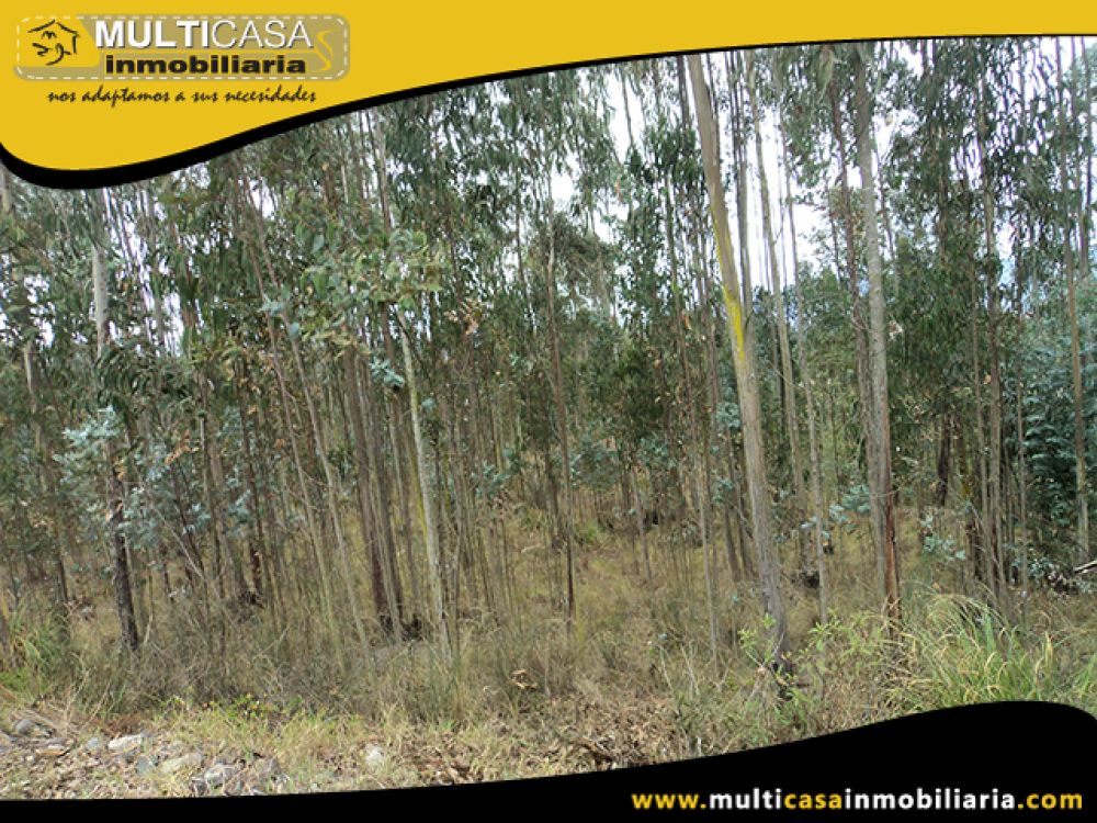 Venta de Hermoso Terreno a crédito sector Solano Cuenca - Ecuador
