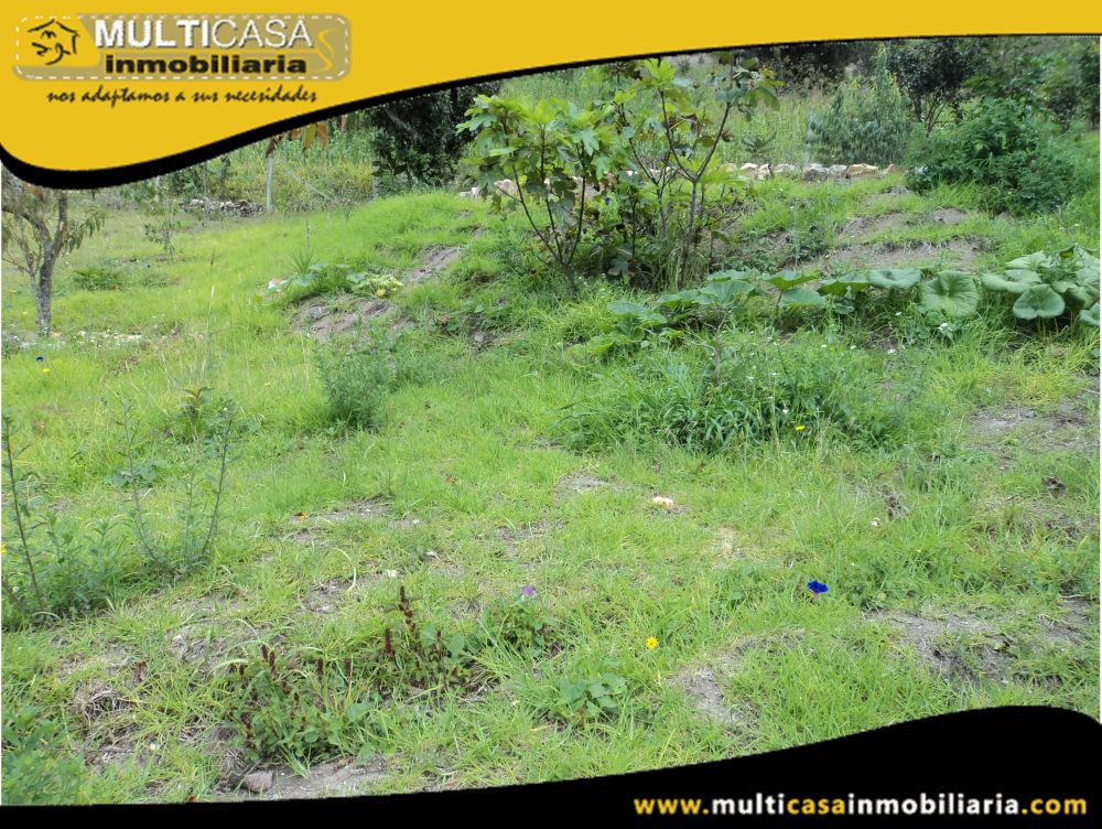 Lote en Venta a Crédito Sector Pirincay Paute-Ecuador