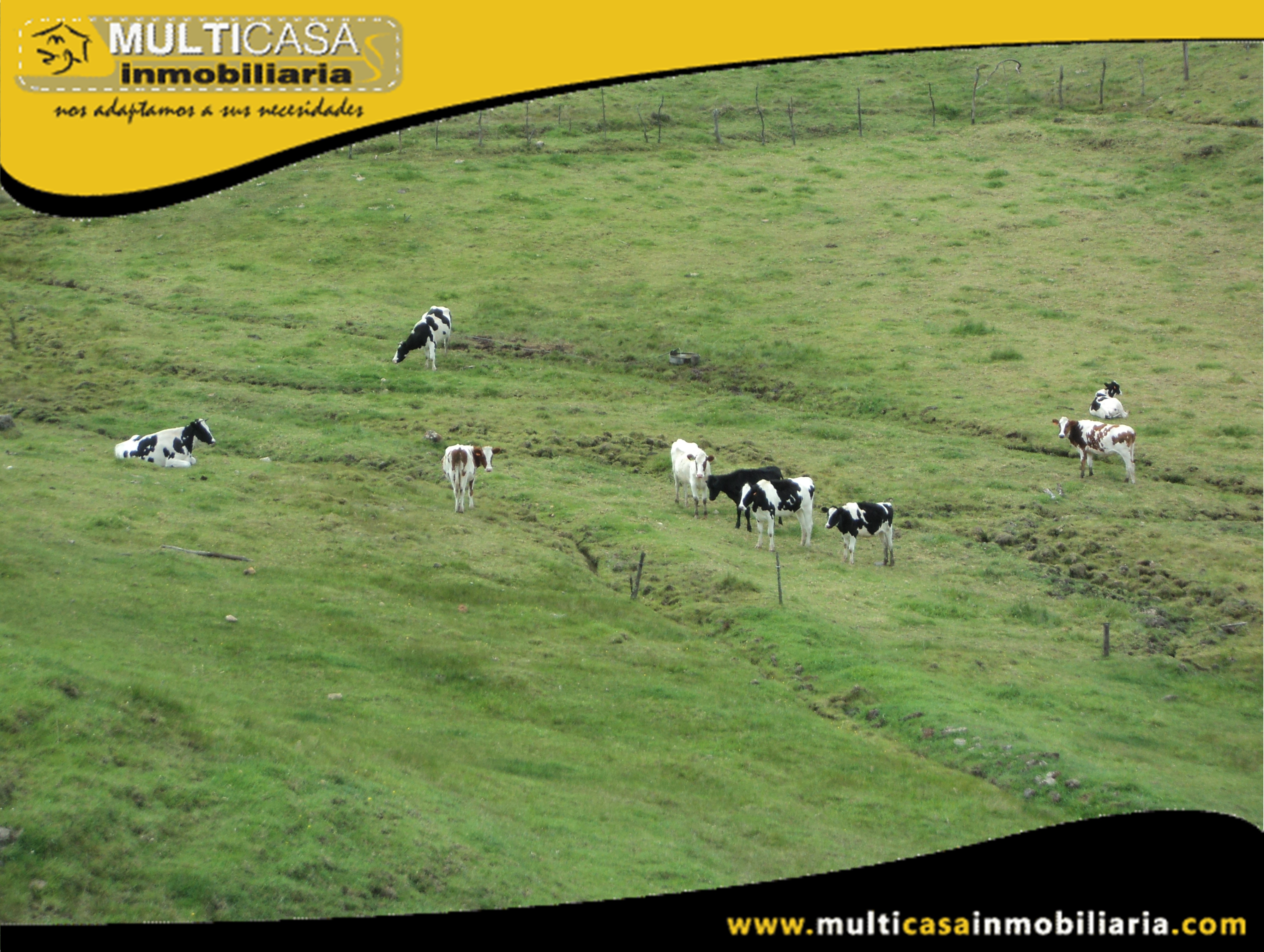 Hectáreas de Terreno en Venta a Crédito Sector Atucloma-Tarqui Cuenca-Ecuador
