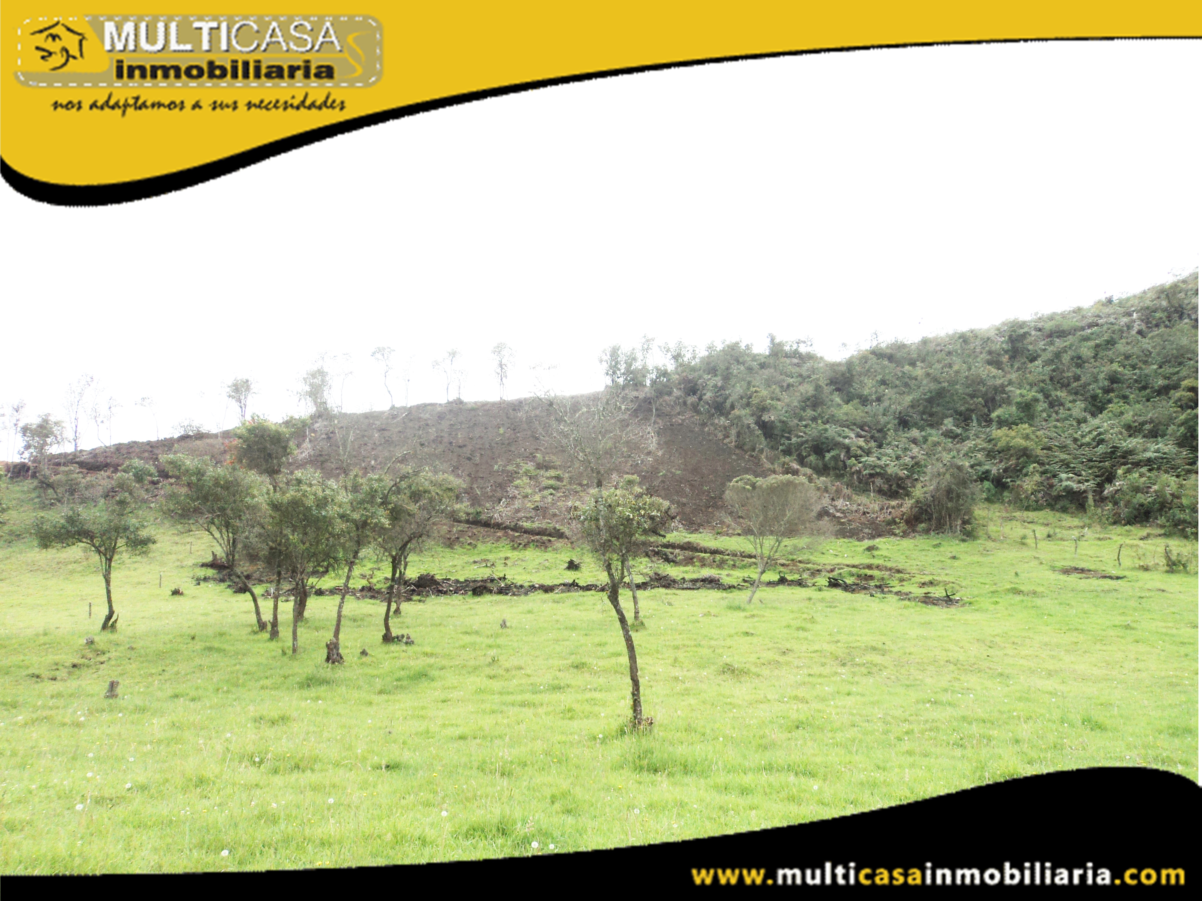 Terreno en Venta a Crédito con ganado Sector Atucloma-Tarqui Cuenca-Ecuador
