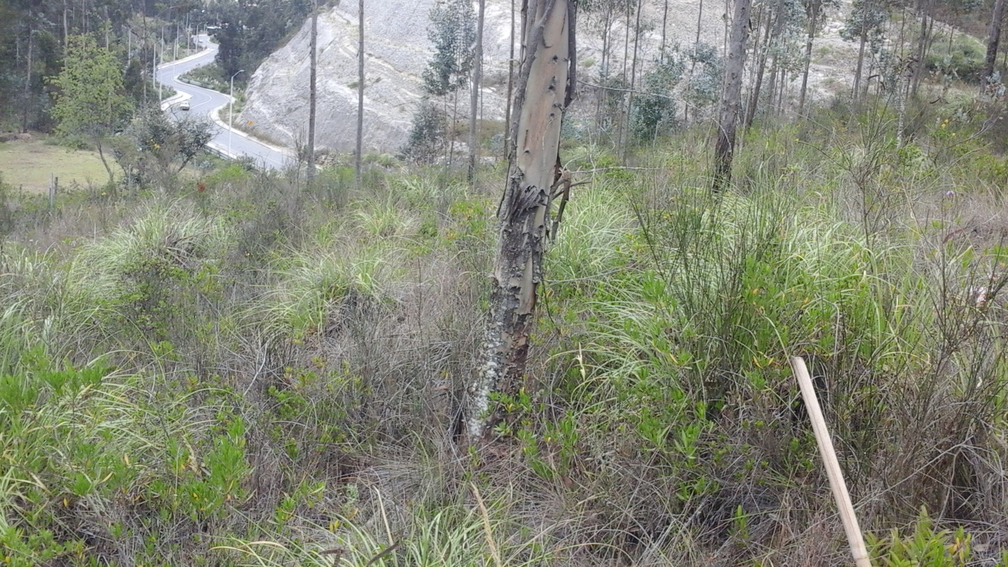 Vendo Terreno de Oportunidad en Turi (via a la Carcel)