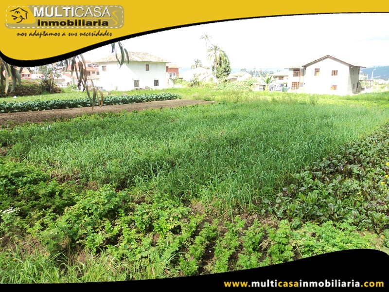Terreno de 1.168 m2 de Venta a Crédito Sector San Joaquin Cuenca-Ecuador