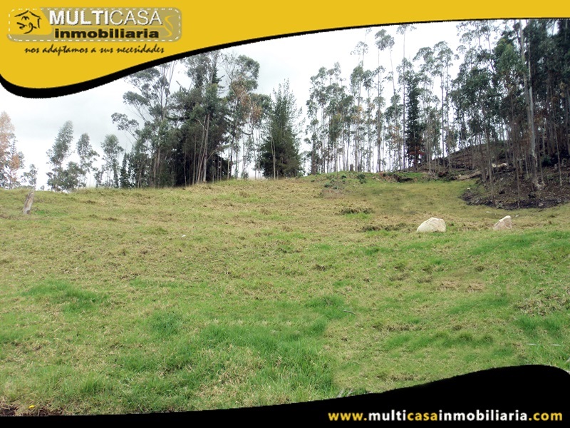 Lotes en Venta a Crédito Sector Tarqui- Irquis -Ecuador